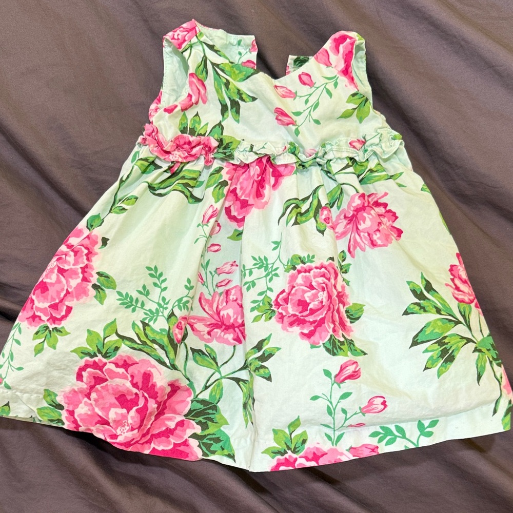 Gymboree Pink and Green Floral Dress
